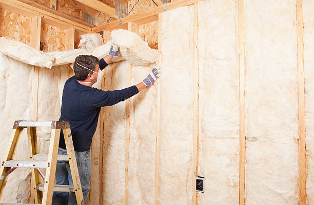 Best Crawl Space Insulation  in USA